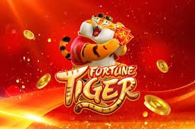 5588 com bet